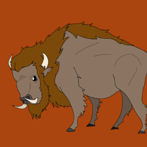 buffalo