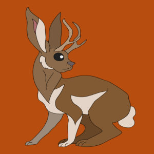 jackalope